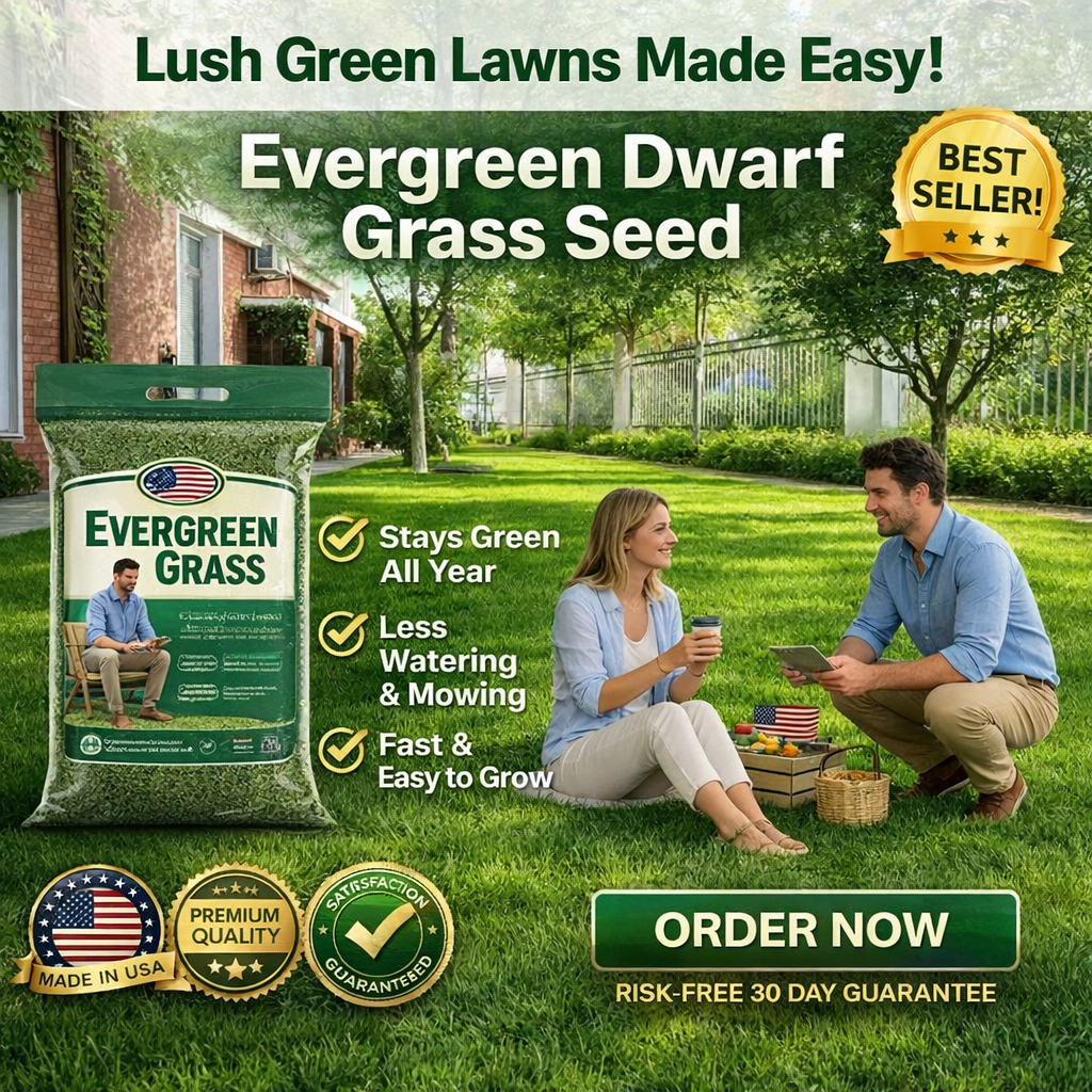 /69b2c93a7e78df0009110e7d/2026/04/18/product-img-69e389f3ac60d769a9fa4be3.png